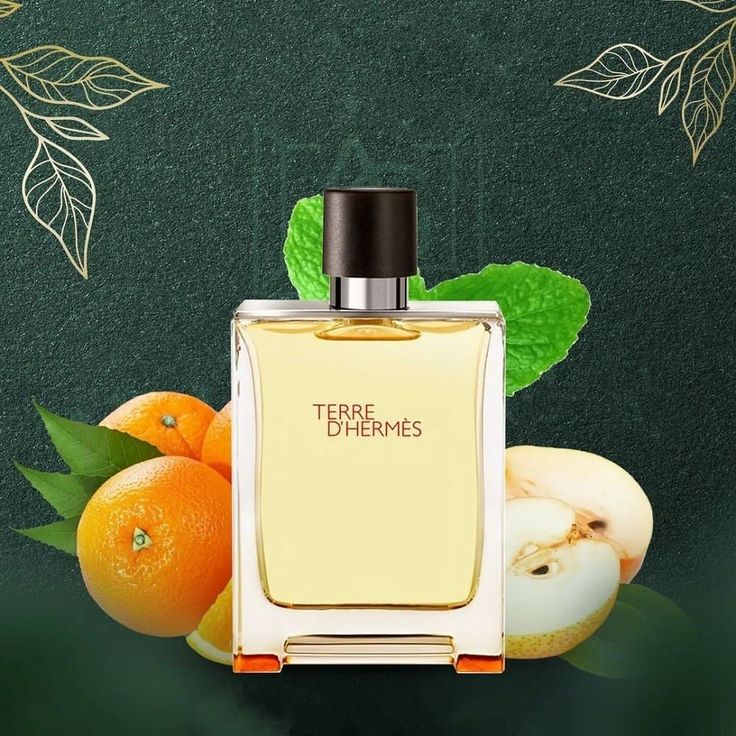 Nước Hoa Hermes Terre D'Hermes Eau Givree – Tinh Túy Mát Lạnh và Thanh Lịch