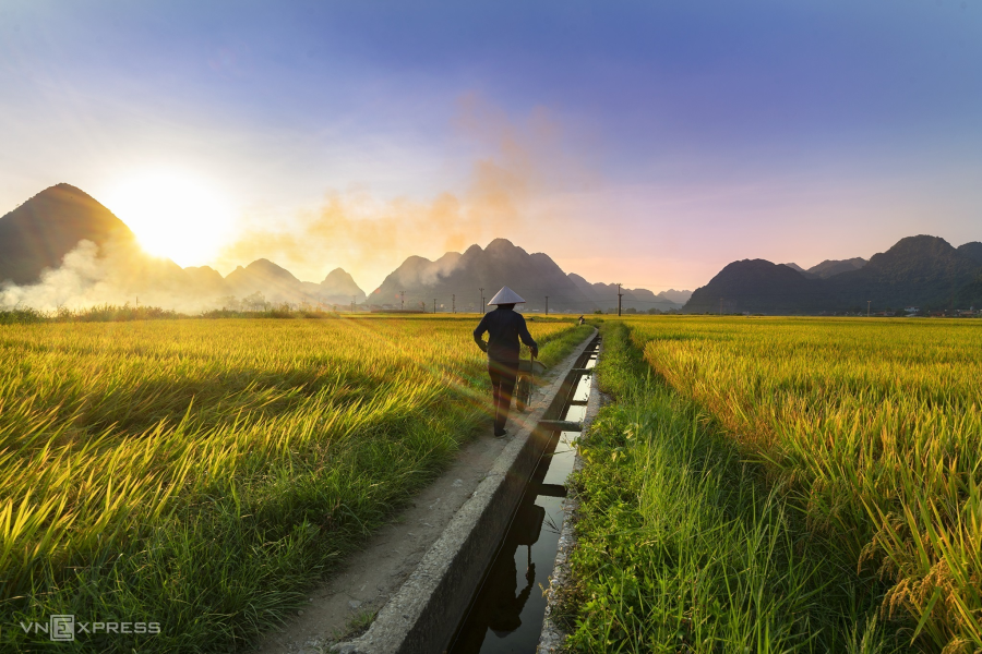 Mùa lúa chín vùng cao trong ấn tượng người làm du lịch-9