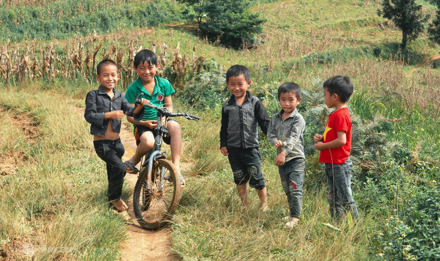 Mùa lúa chín vùng cao trong ấn tượng người làm du lịch-10